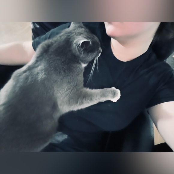 ☺️💞Meet Selena19 📦📬 - Picture 15 of 16